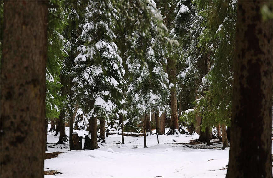 Snow turns village in China's Xinjiang into 