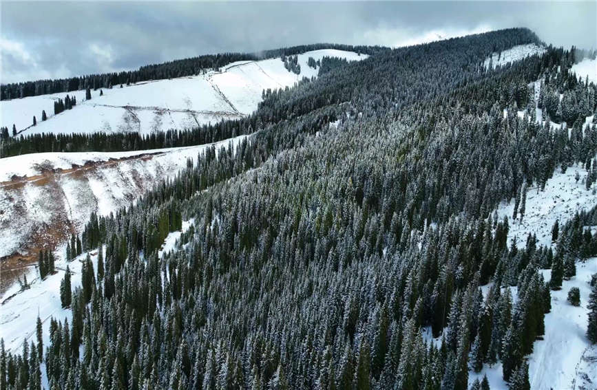 Snow turns village in China's Xinjiang into 