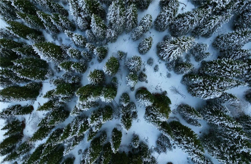 Snow turns village in China's Xinjiang into 