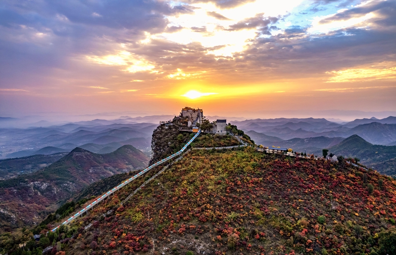 Best time to enjoy beautiful red leaves across China