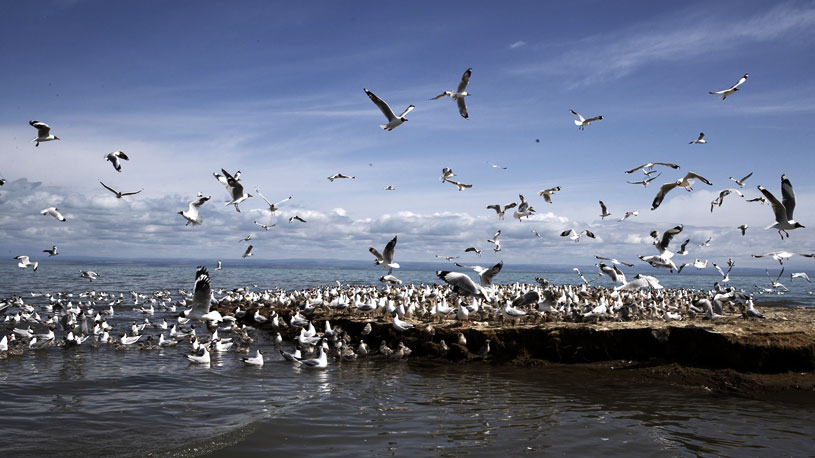 In pics: Qinghai Lake in NW China