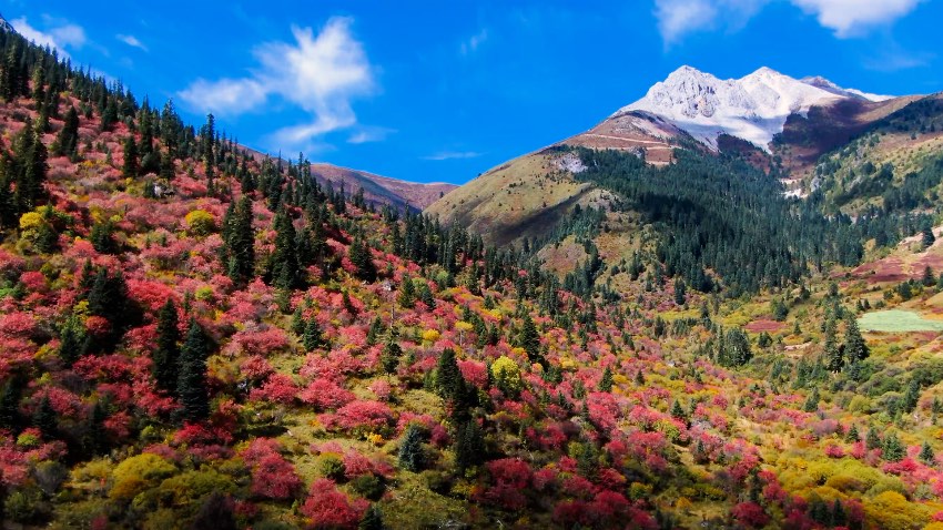 Stunning late autumn scenery in China's Garze Tibetan Autonomous Prefecture
