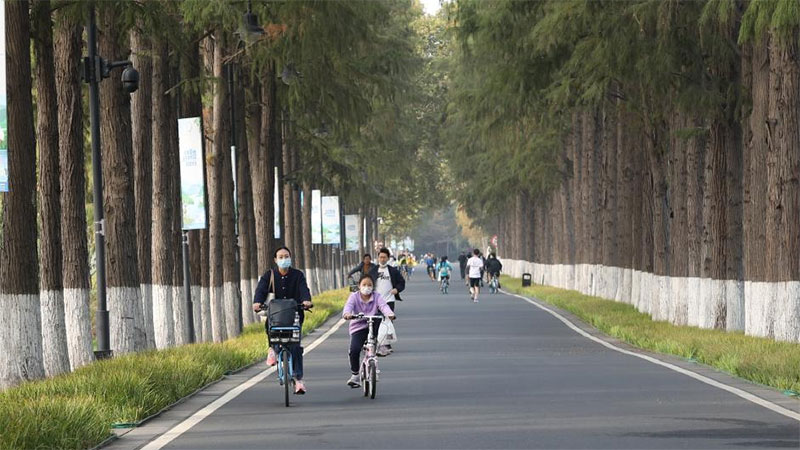 In pics: views of wetland parks in Wuhan, China's Hubei