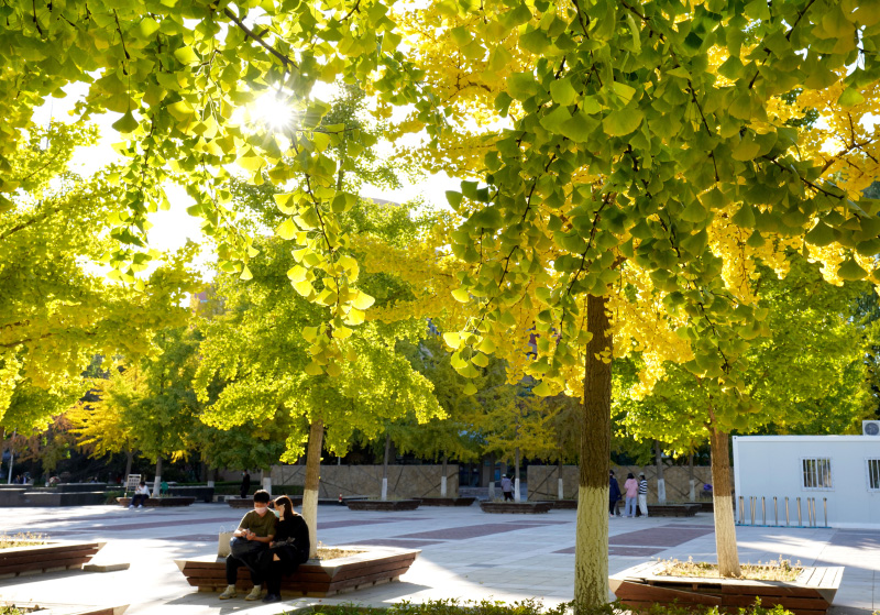 Breathtaking autumn views of 22 universities across China
