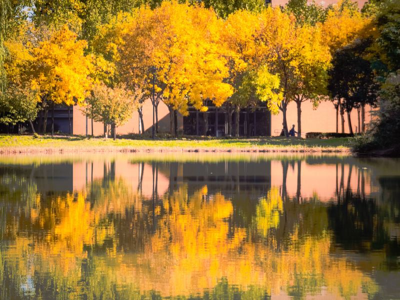 Breathtaking autumn views of 22 universities across China