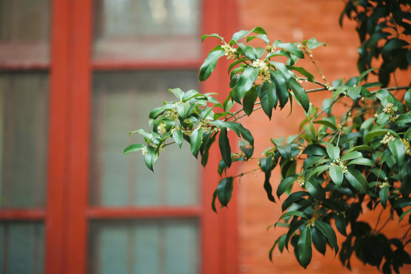 Breathtaking autumn views of 22 universities across China