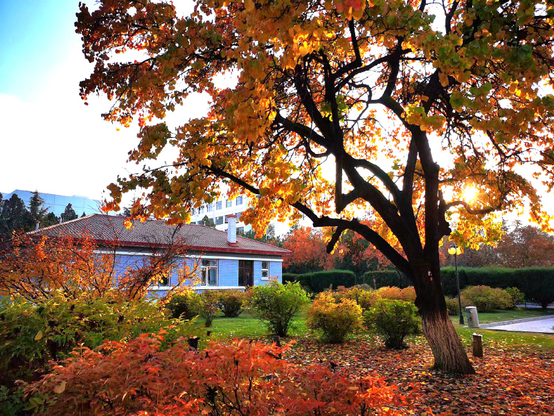 Breathtaking autumn views of 22 universities across China