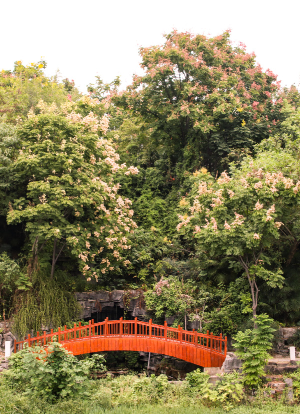 Breathtaking autumn views of 22 universities across China