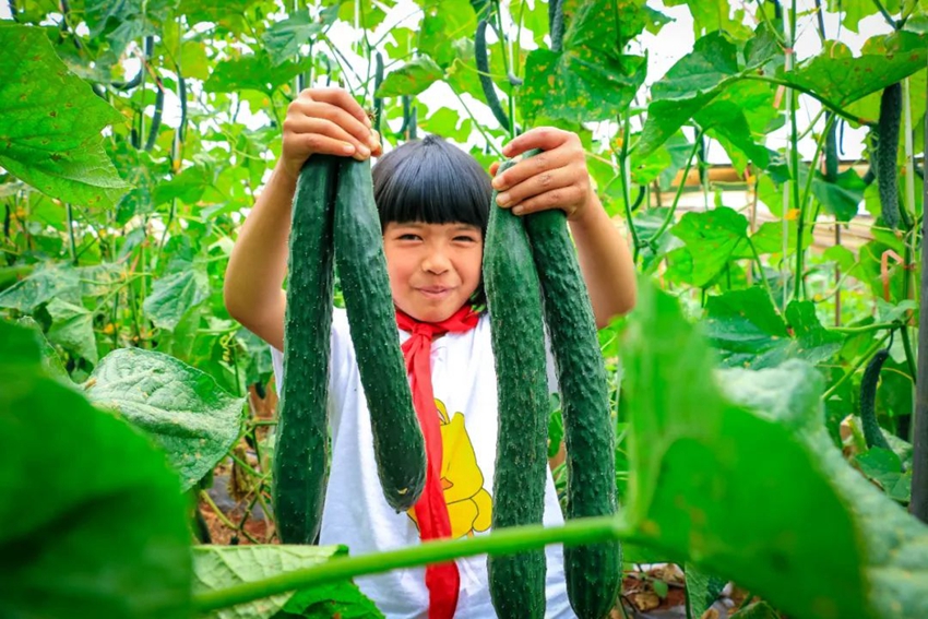 Labor education at primary school in SW China's Yunnan gives students all-round development