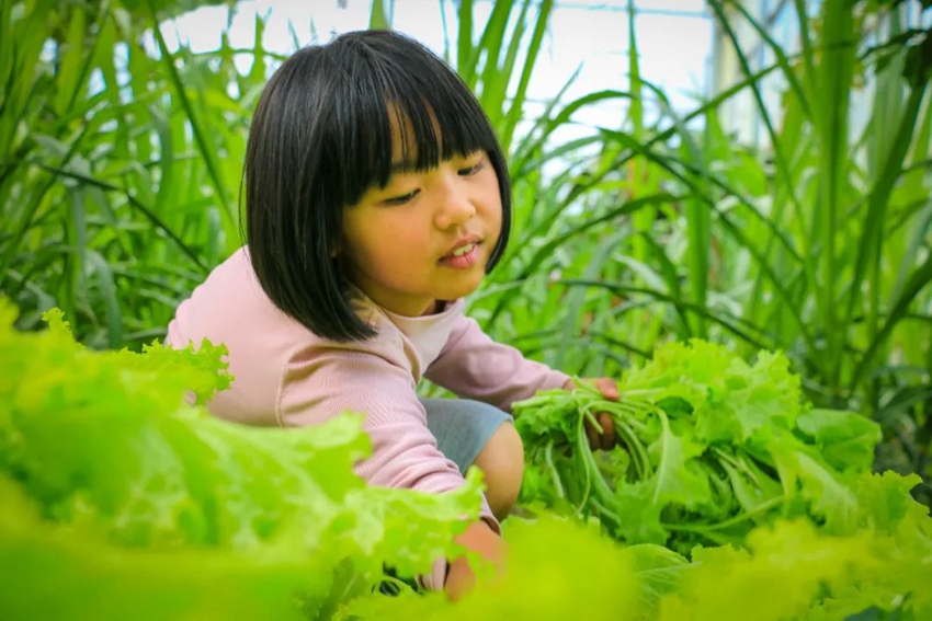 Labor education at primary school in SW China's Yunnan gives students all-round development