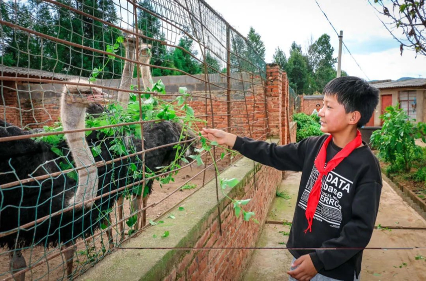 Labor education at primary school in SW China's Yunnan gives students all-round development