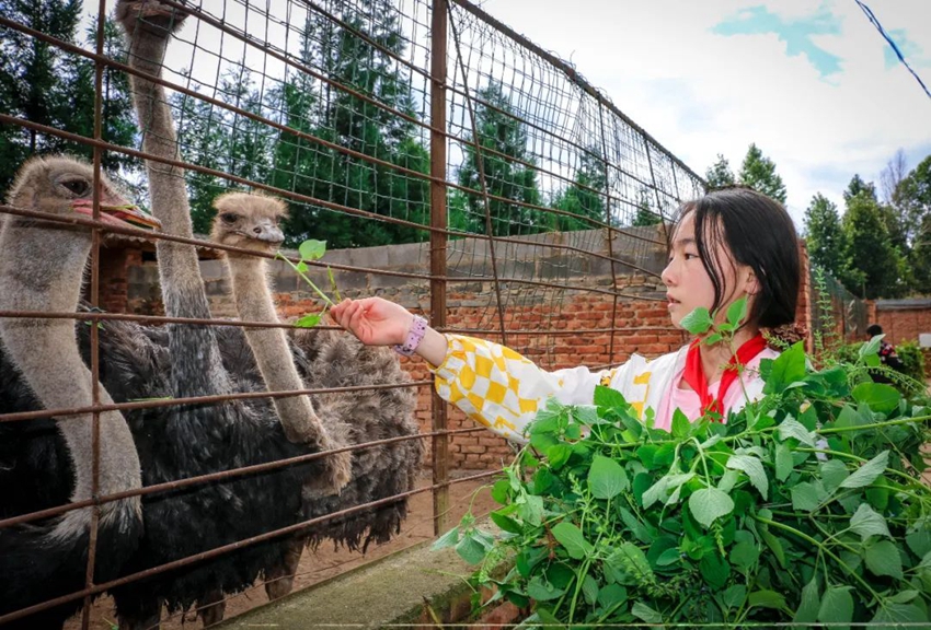 Labor education at primary school in SW China's Yunnan gives students all-round development