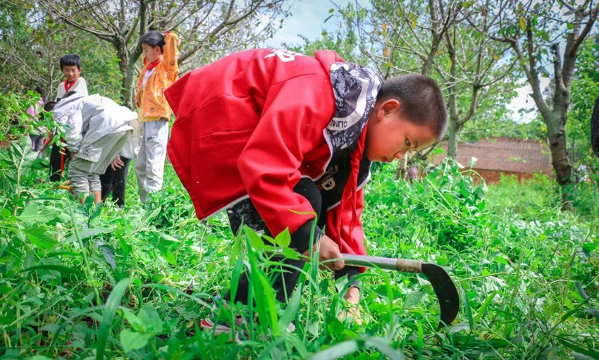 Labor education at primary school in SW China's Yunnan gives students all-round development