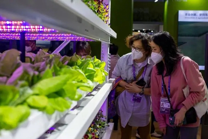 Foods from all over the world displayed at 5th CIIE