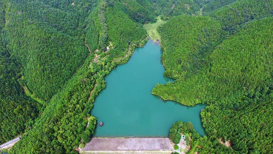 Three more cities in S China's Guangdong designated 'national forest cities'