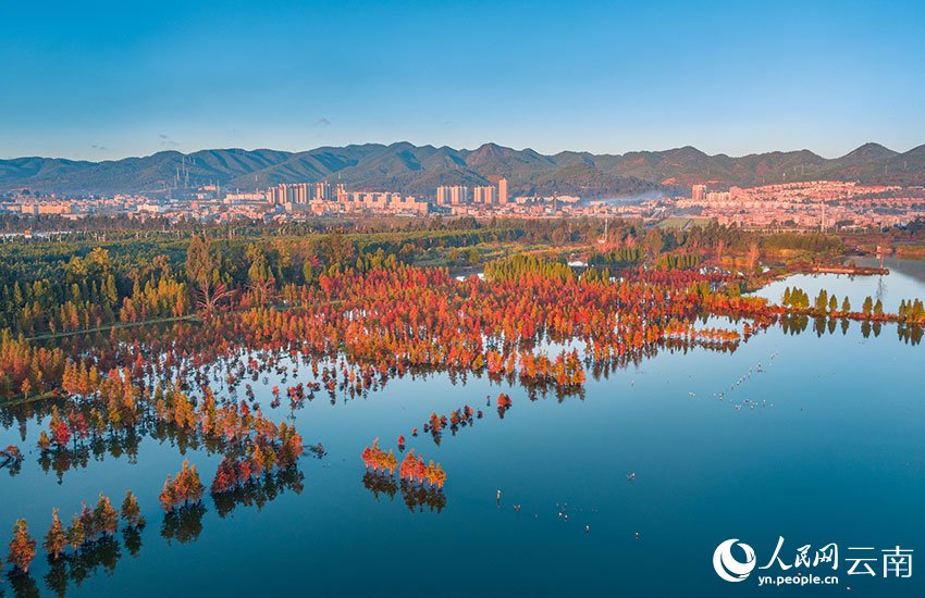 Wetland park in SW China's Yunnan offers picturesque scenery