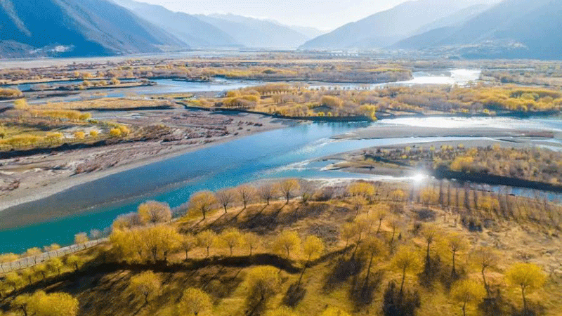 Winter scenery of Yani National Wetland Park in Tibet