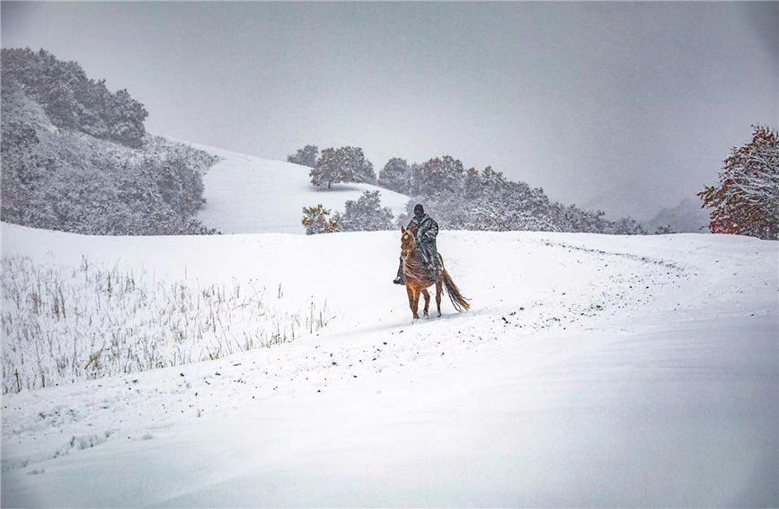 First snow turns 'Apricot Valley' in China's Xinjiang into 'beautiful painting'