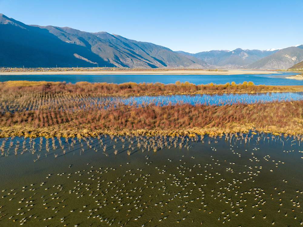 A glimpse of enchanting views of Yani National Wetland Park in SW China's Xizang