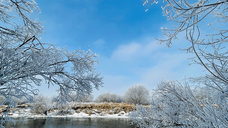 Beautiful early winter scenery of Ergun Wetland in N China's Inner Mongolia