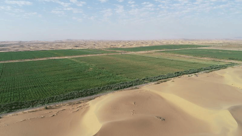 China, Arab states deepen cooperation on water conservation in agriculture
