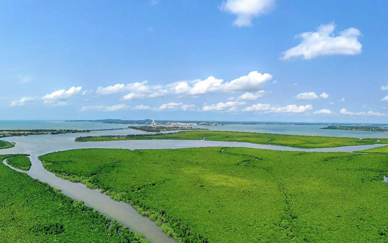 Jiangdong New Area in Haikou, S China's Hainan highlights green development