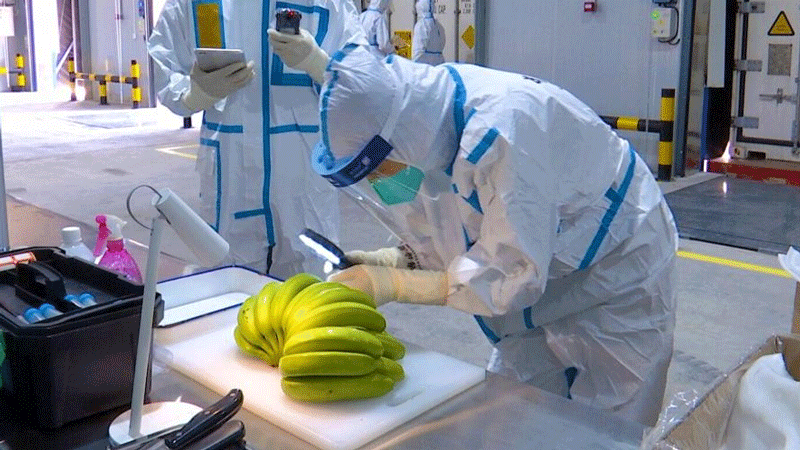 China-Laos Railway sees first direct train for imported fruits to Chinese markets