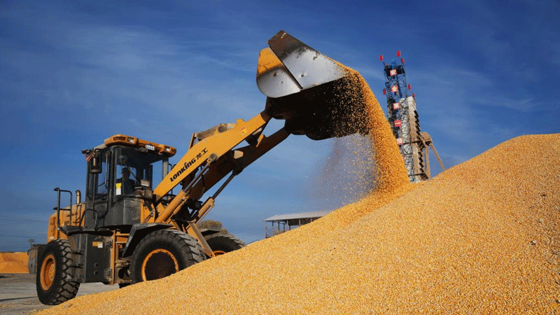 World Soil Day marked in NE China's Heilongjiang