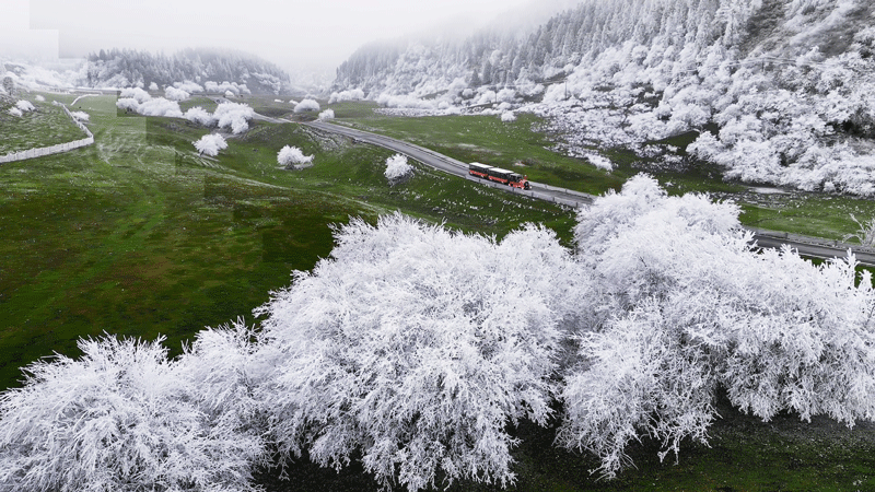 Terrific rime turns Fairy Mountain into wonderland