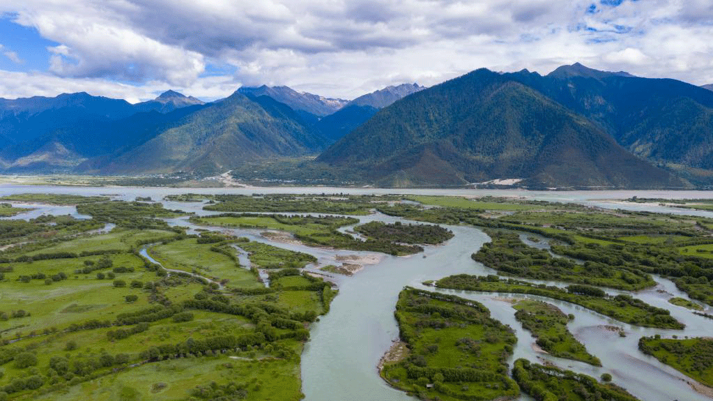 Future terrestrial ecosystems to produce more oxygen for atmosphere: study