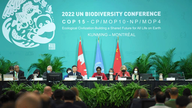 UN biodiversity talks kick off with a goal of post-2020 global action plan