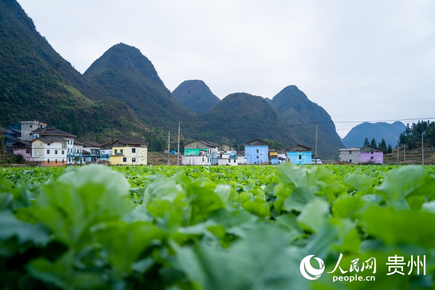 Art injects fresh life into previously impoverished village in SW China's Guizhou