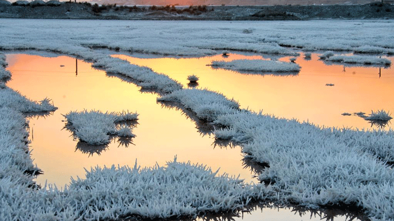 "Mirabilite flowers" blossom in north China salt lake