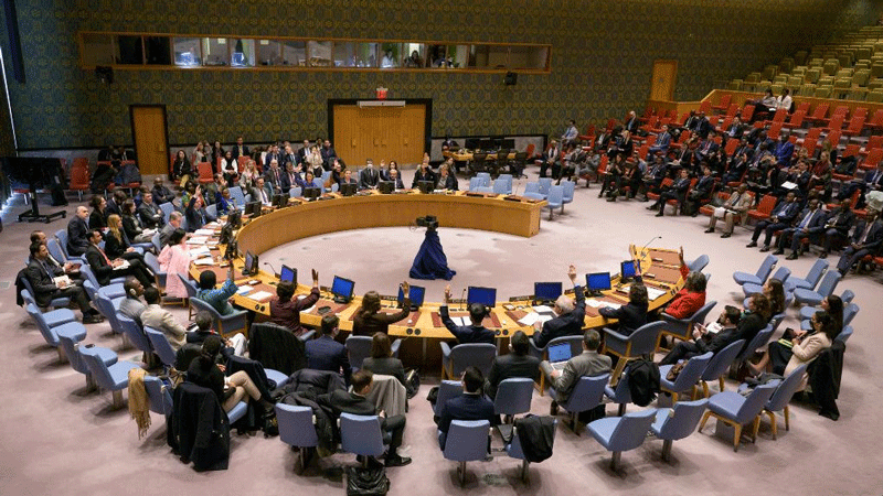 UN Security Council adopts resolution on humanitarian "carve-out" to UN sanctions