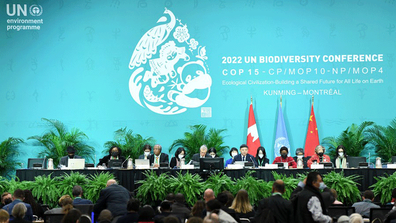 Great Barrier Reef authority chair highlights opportunity provided by COP15 to halt biodiversity loss