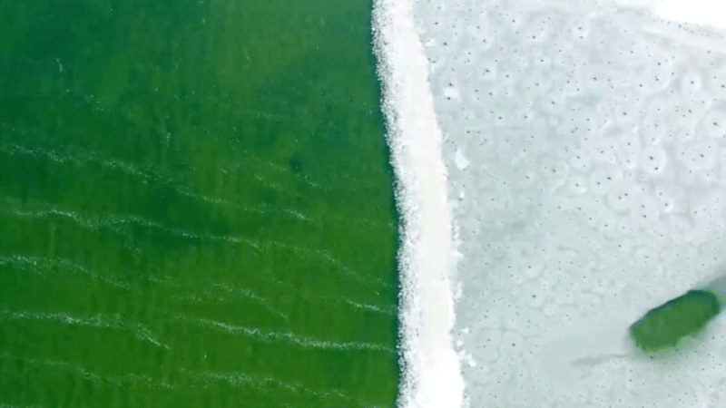 Emerald-like Ulansuhai Nur in Inner Mongolia