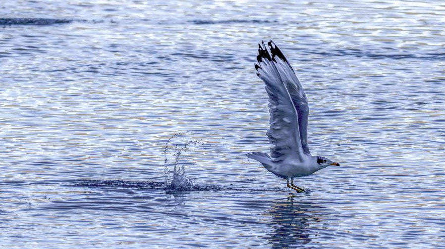 Scenery of Quxu section of Yarlung Zangbo River, Tibet