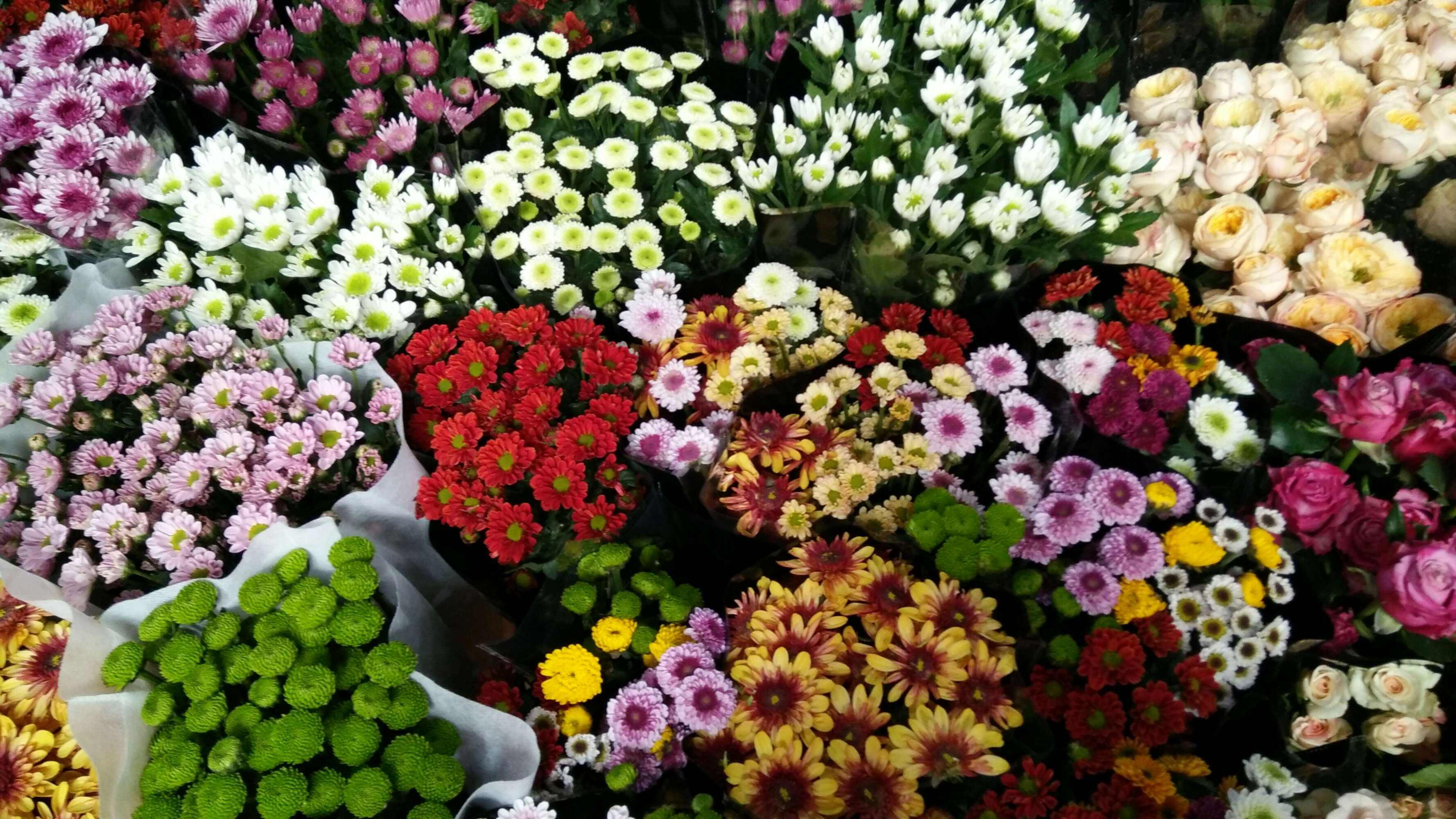 China's largest flower market reopens