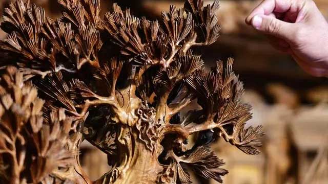 In pics: Wood carving works from China’s Fujian tell China stories to world