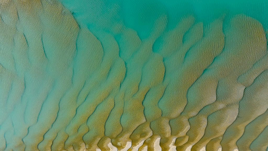 Scenery of Mainling section of Yarlung Zangbo River