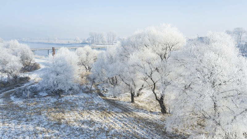 Gorgeous rime scenery