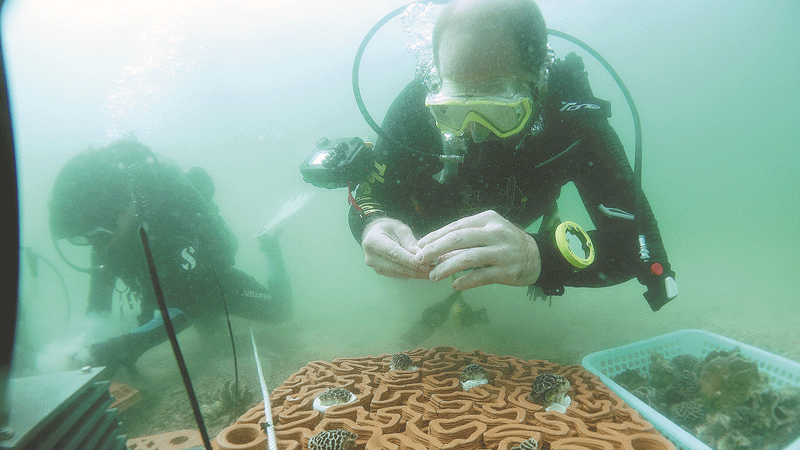 Marine technology makes Greater Bay Area greener, safer