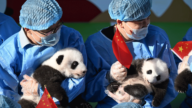 China selects happiest cities of 2022