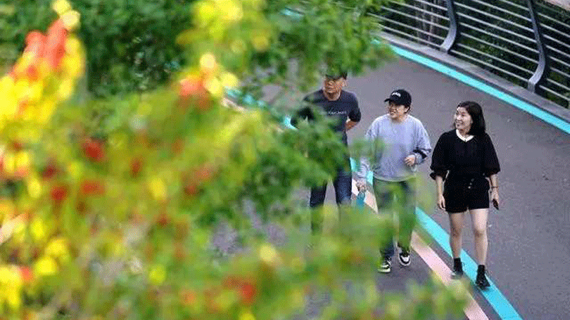 Pedestrian, bicycle systems offer more convenience to Chinese people