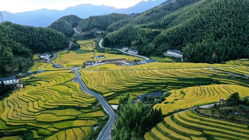 Ancient terraces in E China included on World Heritage Irrigation Structures List