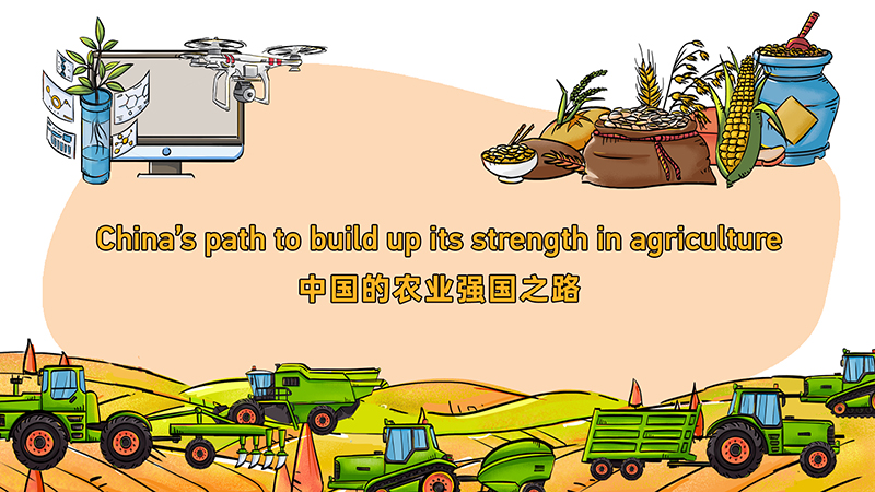 China's path to build up its strength in agriculture