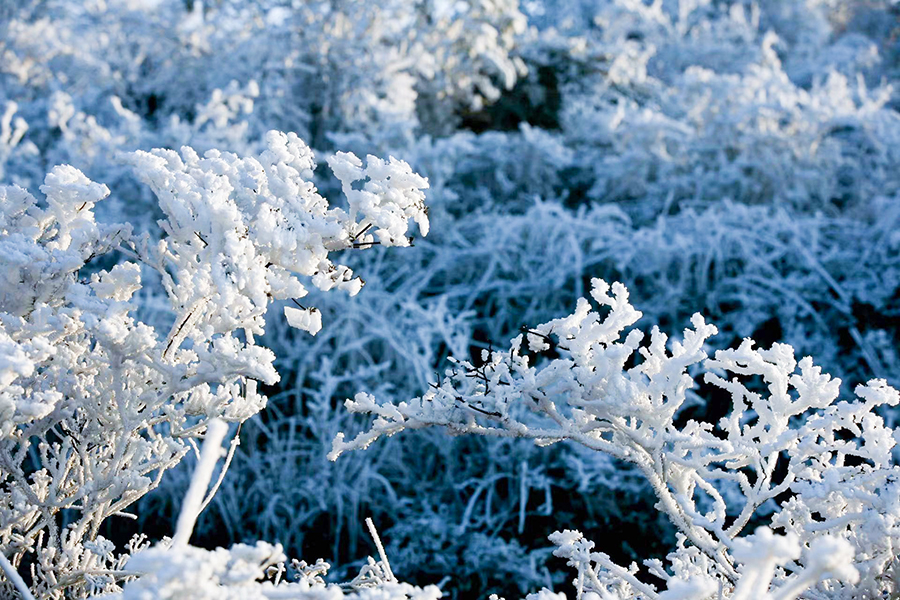 Spectacular rime scenery of Jinnao Mountain in SE China’s Fujian