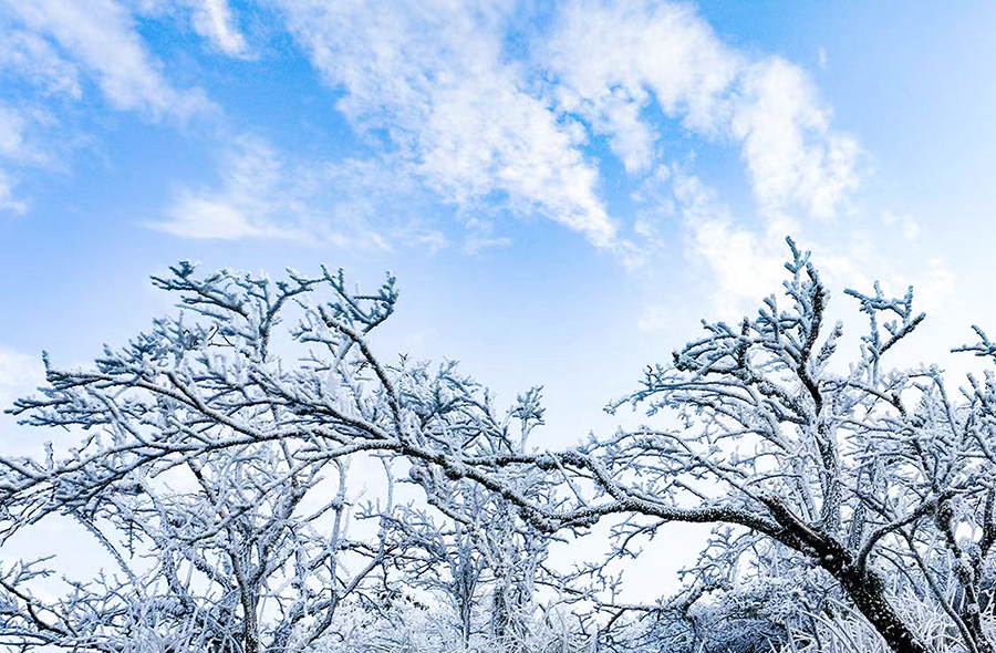 Spectacular rime scenery of Jinnao Mountain in SE China’s Fujian