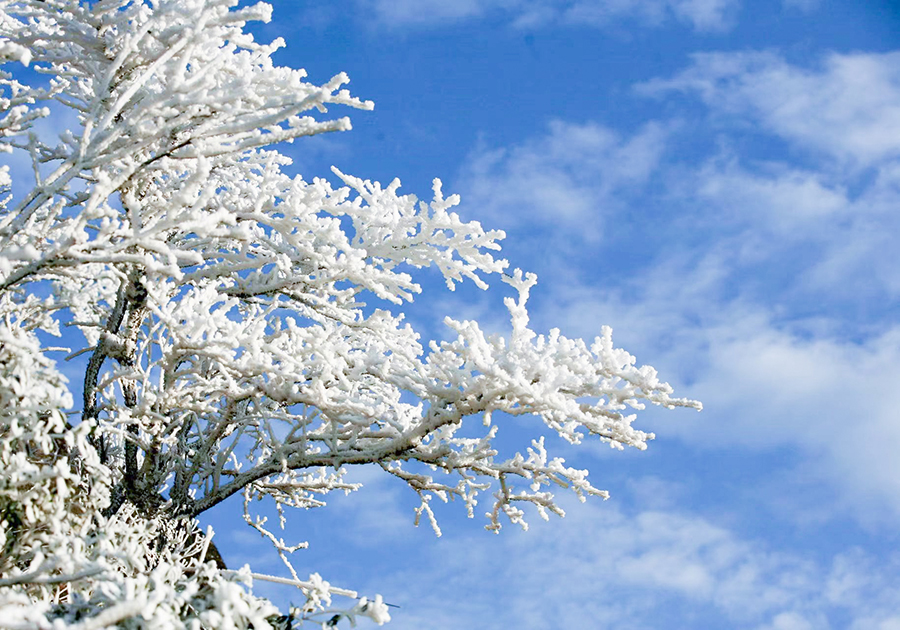 Spectacular rime scenery of Jinnao Mountain in SE China’s Fujian