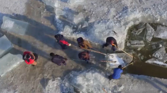 Ice harvesting in northeast China's Harbin